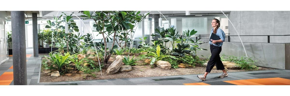 Administration fédérale