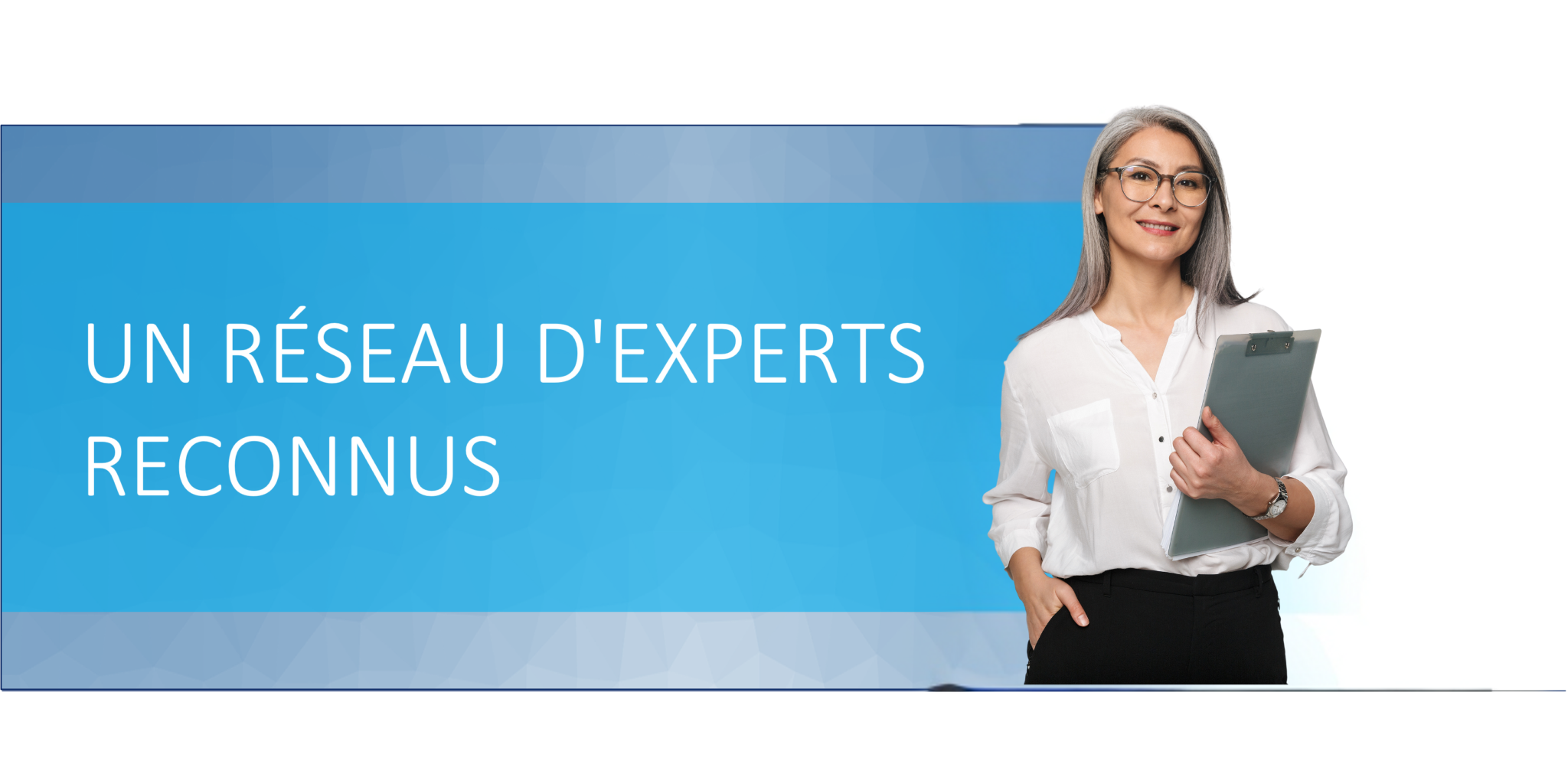 Réseau D'experts